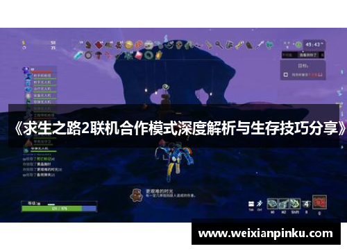 《求生之路2联机合作模式深度解析与生存技巧分享》