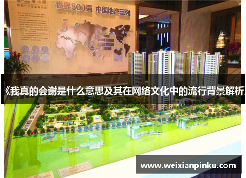 《我真的会谢是什么意思及其在网络文化中的流行背景解析》