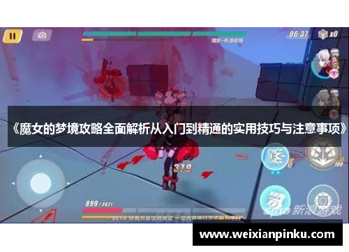 《魔女的梦境攻略全面解析从入门到精通的实用技巧与注意事项》